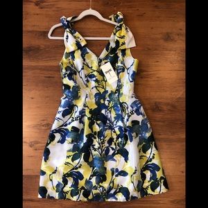 Tyler boe dress